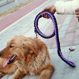 18 Colors Durable Nylon Braided Dog Collar And Leash Set