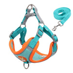 New Pet Harness and Leash Set