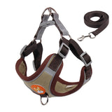 New Pet Harness and Leash Set
